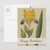  Botanicals Iris Happy Birthday Briefkaart (Voorkant / Achterkant)
