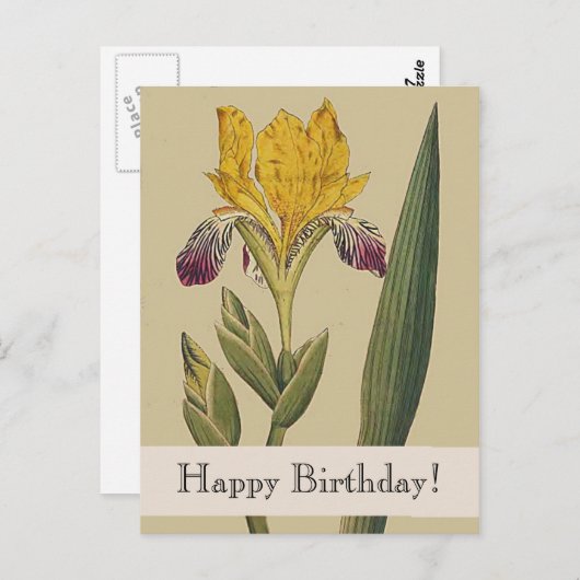 Botanicals Iris Happy Birthday Briefkaart (Voorkant / Achterkant)