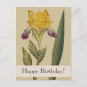  Botanicals Iris Happy Birthday Briefkaart (Voorkant)