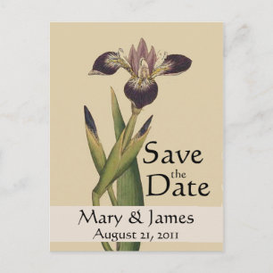  Botanicals Iris Save the Date Briefkaart