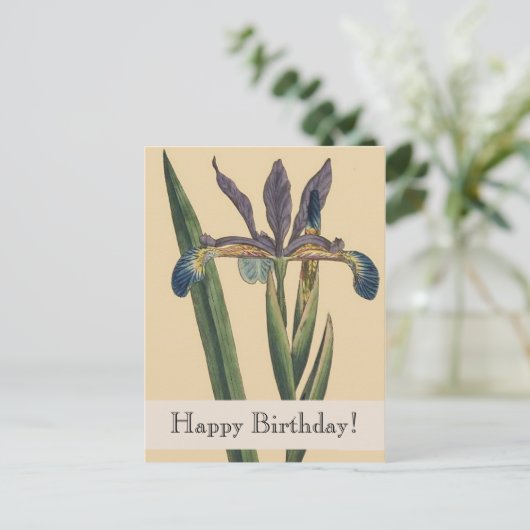  Botanicals Iris Verjaardag Briefkaart (Staand voorkant)