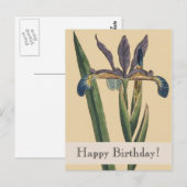 Botanicals Iris Verjaardag Briefkaart (Voorkant / Achterkant)