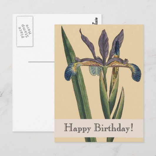 Botanicals Iris Verjaardag Briefkaart (Voorkant / Achterkant)