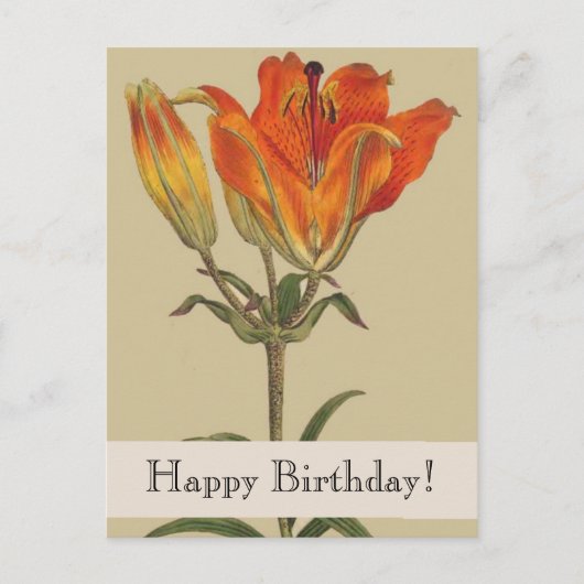  Botanicals Lily Happy Birthday Briefkaart (Voorkant)
