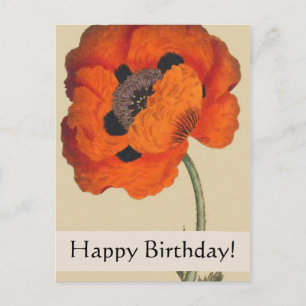  Botanicals Poppy Birthday Kaart