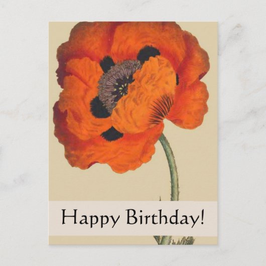 Botanicals Poppy Birthday Kaart (Voorkant)