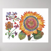 botanisch46 poster (Voorkant)