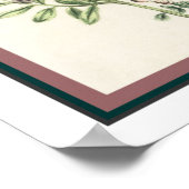 botanisch afdrukken 16 x 20 poster (Hoek)