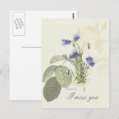 Botanisch Blauwe Campanula 1 Briefkaart (Voorkant / Achterkant)