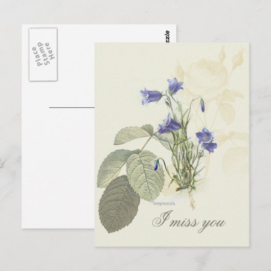 Botanisch Blauwe Campanula 1 Briefkaart (Voorkant / Achterkant)