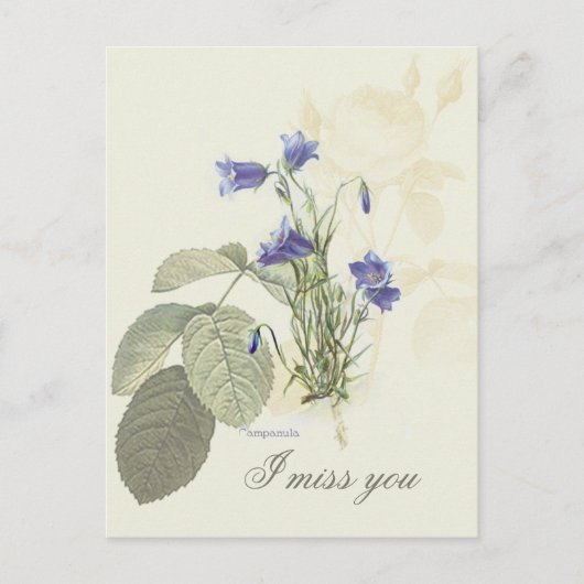 Botanisch Blauwe Campanula 1 Briefkaart (Voorkant)