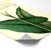 Botanisch  Bloem Poster (Hoek)