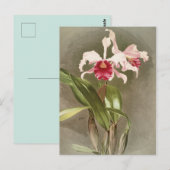 Botanisch Briefkaart (Voorkant / Achterkant)