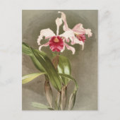  Botanisch Briefkaart (Voorkant)