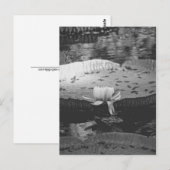 Botanisch Briefkaart (Voorkant / Achterkant)