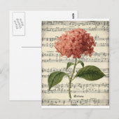  botanisch briefkaart met roze hortensie (Voorkant / Achterkant)