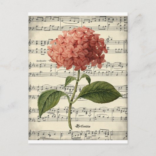  botanisch briefkaart met roze hortensie (Voorkant)