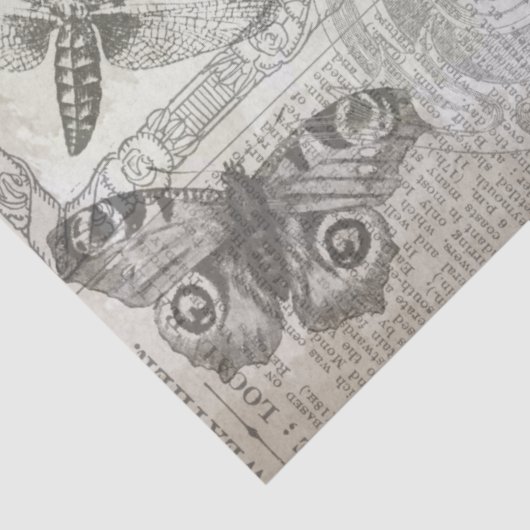 Botanisch Butterfly Script zwart-wit Tissuepapier (Detail)