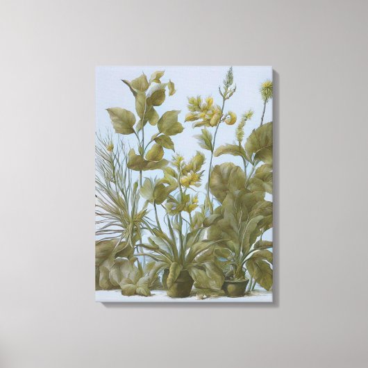 Botanisch Canvas Afdruk (Voorkant)