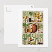 BOTANISCH COLLECTIE KOLOM BRIEFKAART (Voorkant / Achterkant)