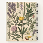  botanisch compositie Notitieboek (Achterkant)