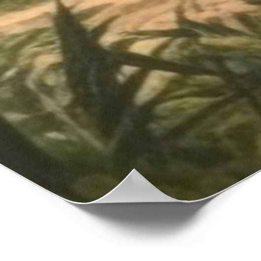 Botanisch: dromedarissen in het oerwoud bij een ri poster (Hoek)