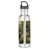 Botanisch: dromedarissen in het oerwoud bij een ri waterfles  (Achterkant)