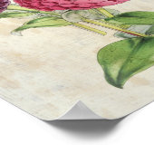  Botanisch Dubbelbloeden Paars Zinnia Poster (Hoek)