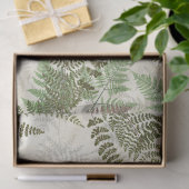  botanisch fern-papier tissuepapier (Geschenk)