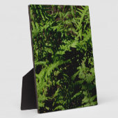 Botanisch groen bos vloer varens fotoplaat (Zijkant)