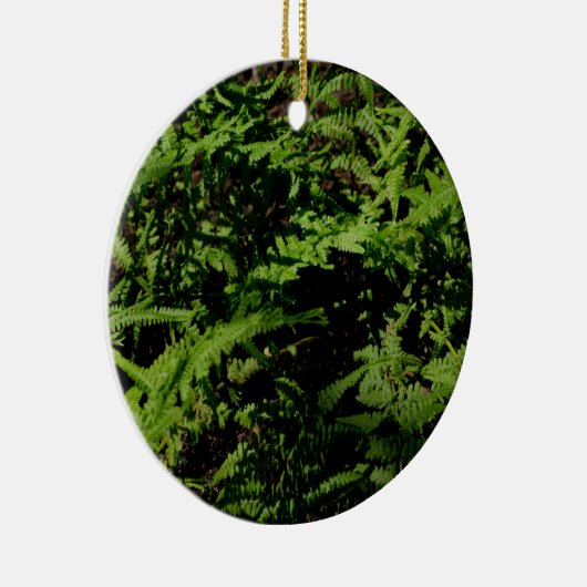 Botanisch groen bos vloer varens keramisch ornament (Rechts)
