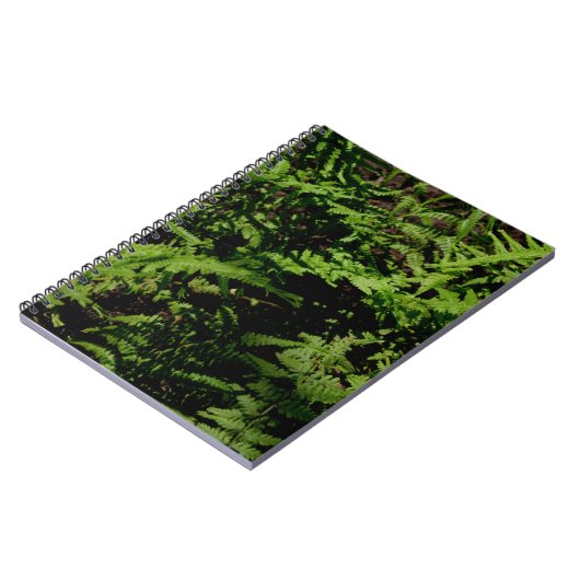 Botanisch groen bos vloer varens notitieboek (Linkerzijde)