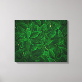 Botanisch groen schilderij Stretched Canvas Print