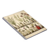  Botanisch Kruid Recept Journal Notitieboek (Rechterzijde)