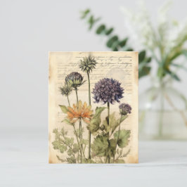  botanisch kruidenplakboekpapier