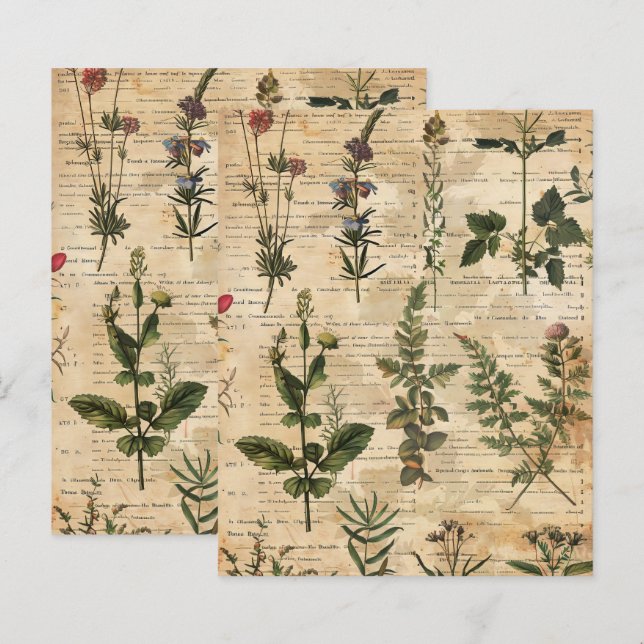  botanisch kruidenplakboekpapier (Voorkant / Achterkant)