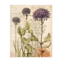  botanisch kruidenplakboekpapier