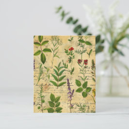  botanisch kruidenplakboekpapier