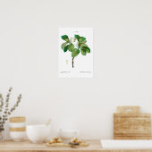  BOTANISCH "MAGNOLIA" REDOUTÉ POSTER (Keuken)