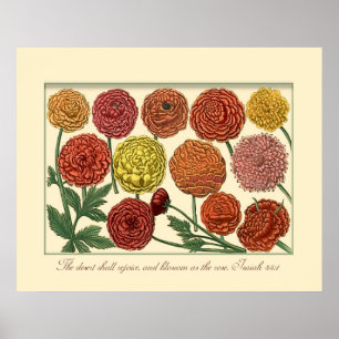  Botanisch met de Verse van de Manuscript van Isai Poster