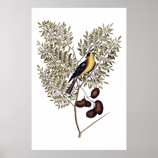  botanisch met gele vogel poster (Voorkant)