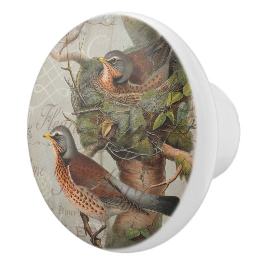 Botanisch Nesting Birds Script Ephemera Keramische Knop (Rechts)