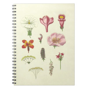 Botanisch Notitieboek
