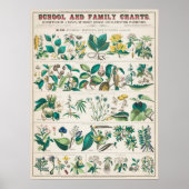  Botanisch Onderwijs Poster (Voorkant)