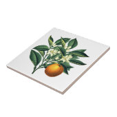  botanisch Oranje fruitbloesem Tegeltje (Zijkant)