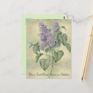 Botanisch Paars Lila Syringa Vulgaris Briefkaart