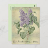  Botanisch Paars Lila Syringa Vulgaris Briefkaart (Voorkant / Achterkant)