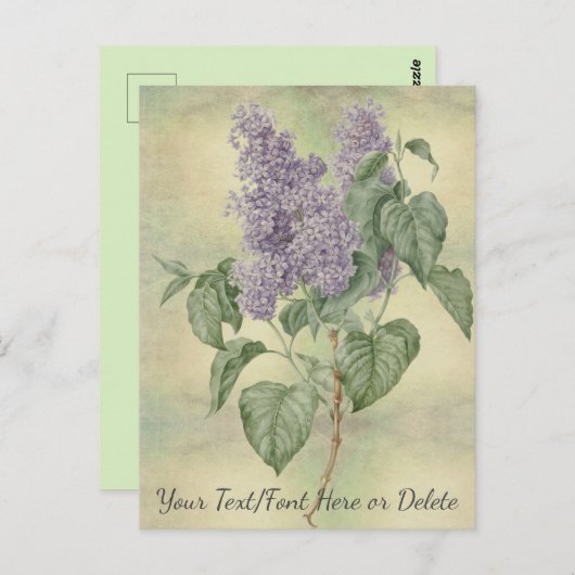  Botanisch Paars Lila Syringa Vulgaris Briefkaart (Voorkant / Achterkant)