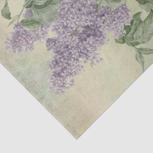  Botanisch Paars Lila Syringa Vulgaris Tissuepapier (Detail)