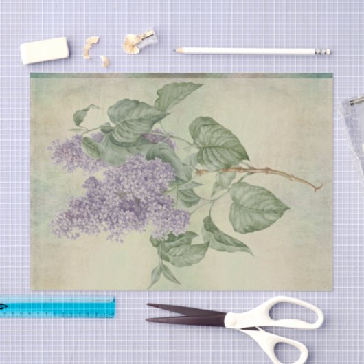  Botanisch Paars Lila Syringa Vulgaris Tissuepapier (Craft)